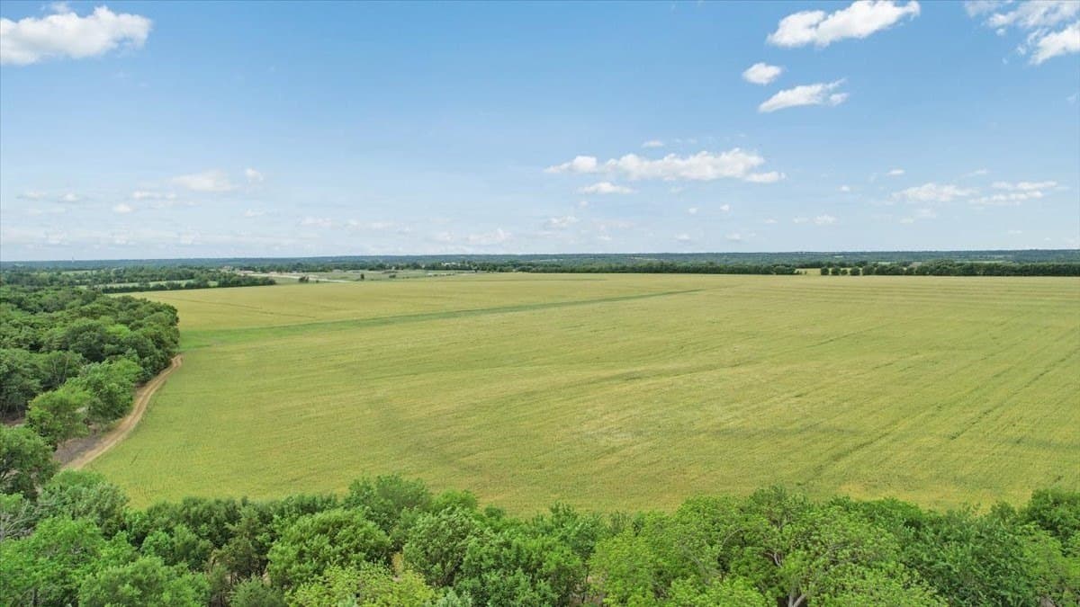 22 acres in Grayson County - photo 12