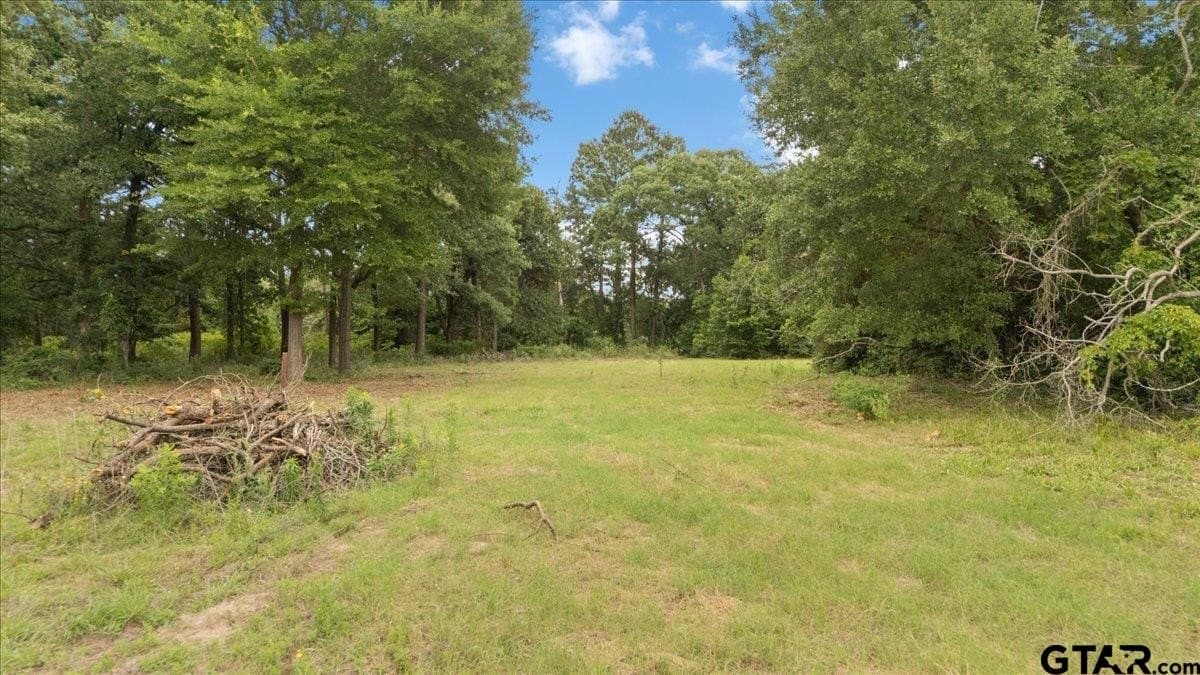 2.36 acres in Smith County - photo 9