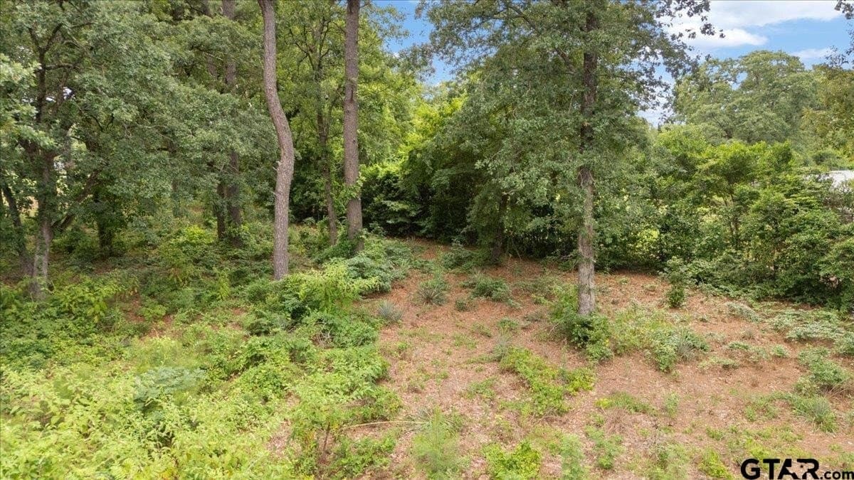 2.36 acres in Smith County - photo 13