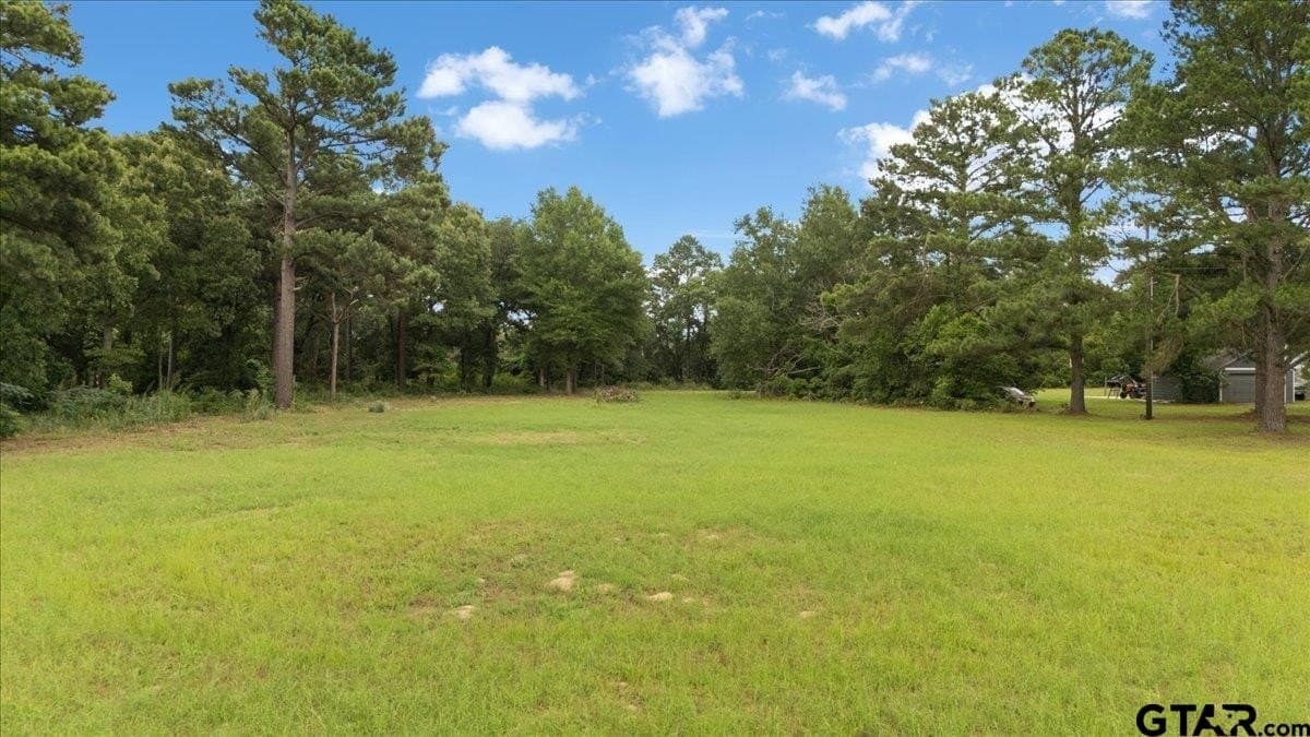 2.36 acres in Smith County - photo 7