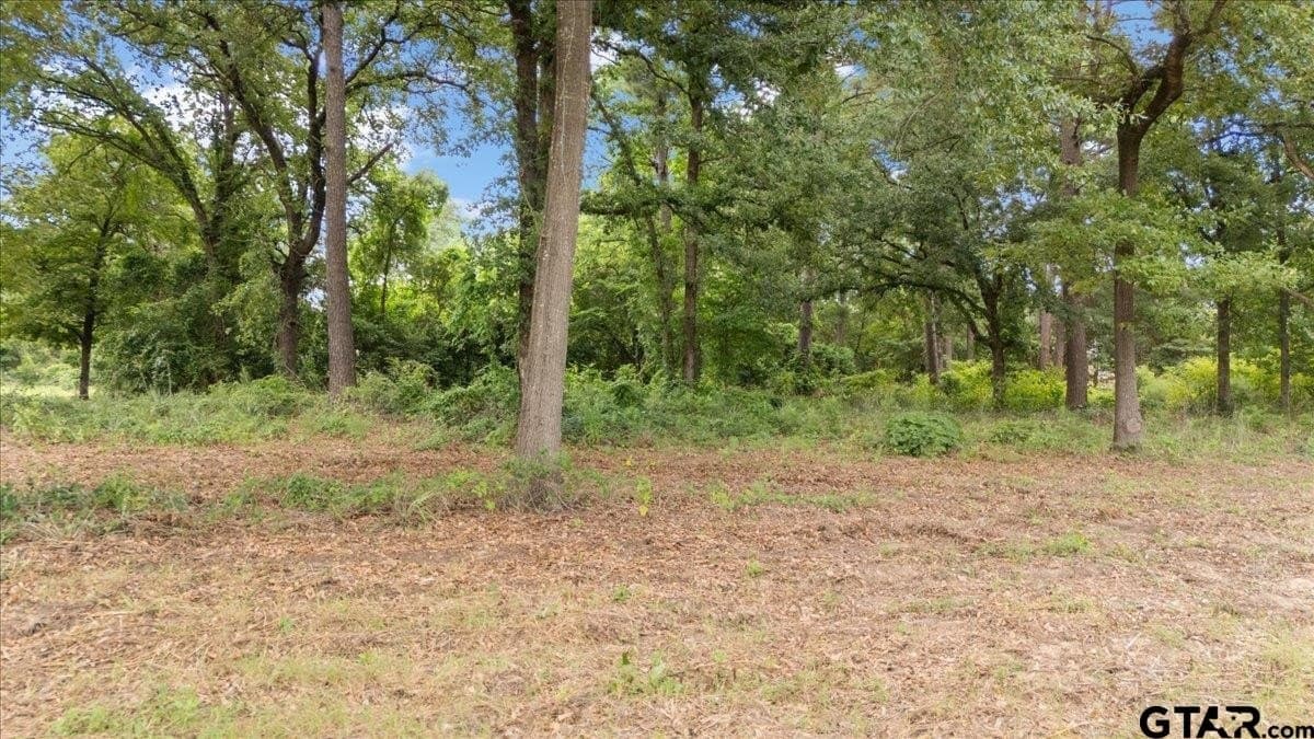 2.36 acres in Smith County - photo 12