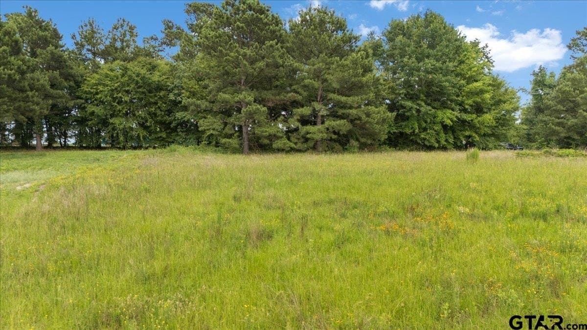 2.36 acres in Smith County - photo 6