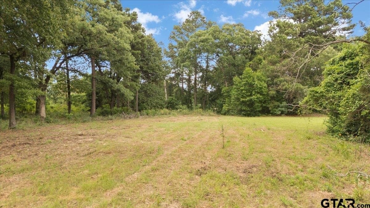 2.36 acres in Smith County - photo 10