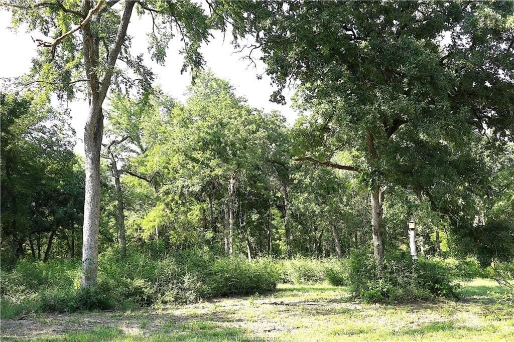 5.51 acres in Robertson County - photo 11