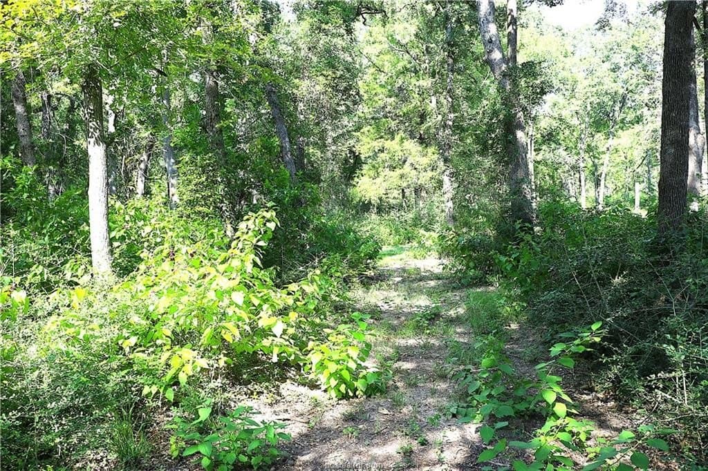 5.51 acres in Robertson County - photo 15