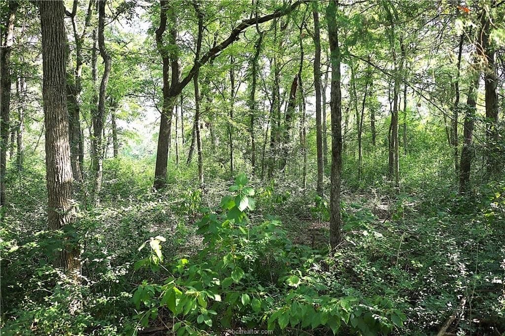 5.51 acres in Robertson County - photo 5