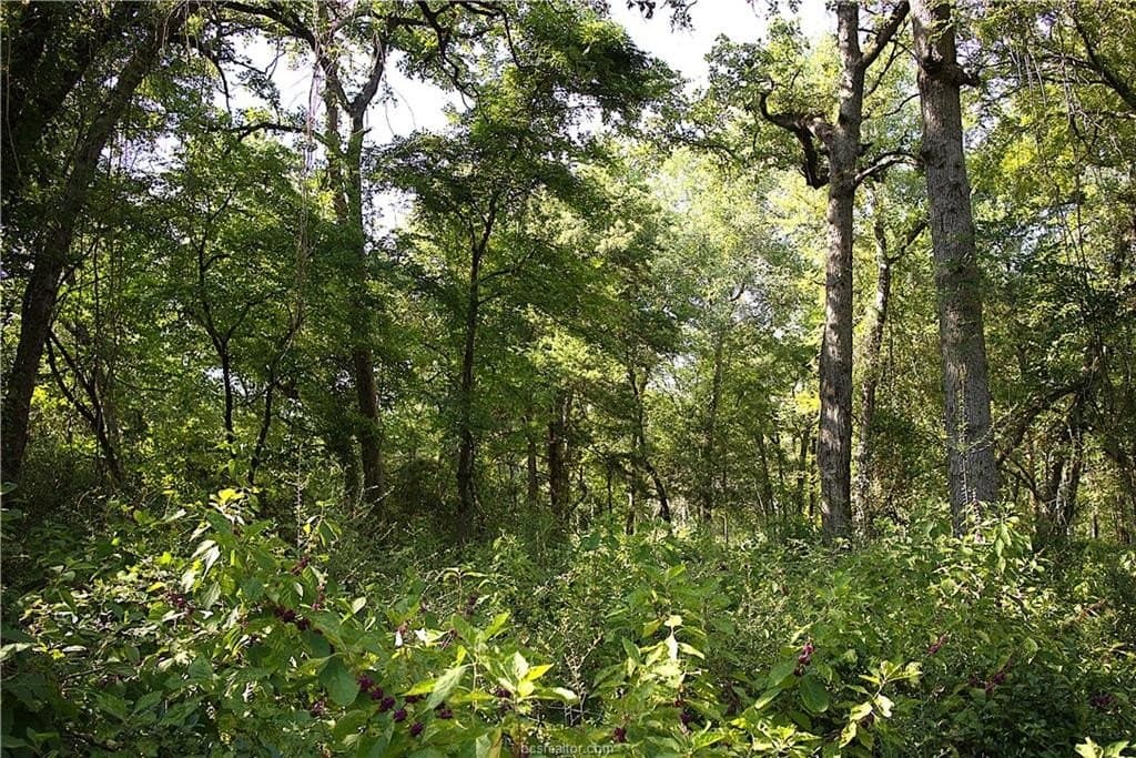 5.51 acres in Robertson County - photo 7