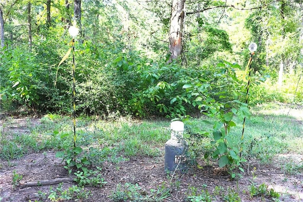 5.51 acres in Robertson County - photo 10