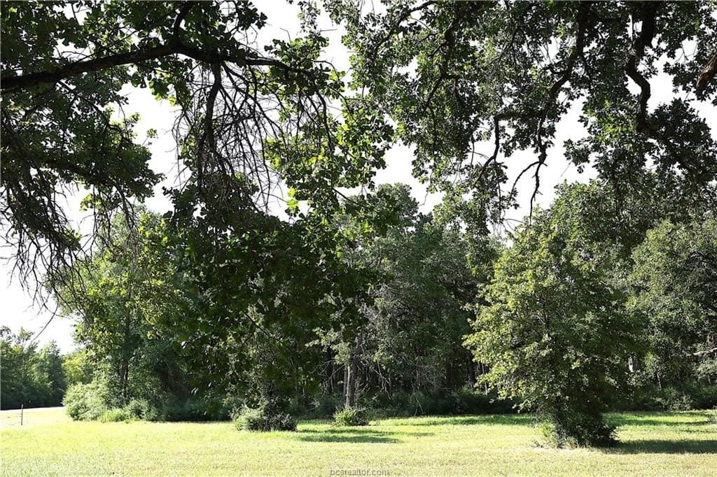 5.51 acres in Robertson County - photo 12
