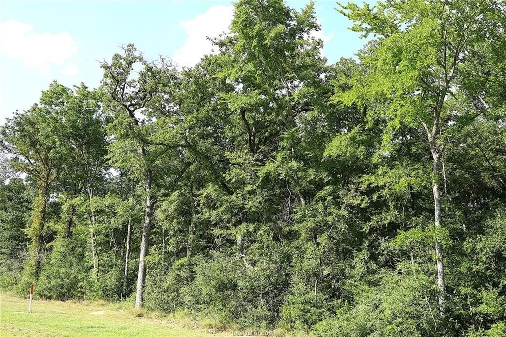 5.51 acres in Robertson County - photo 4