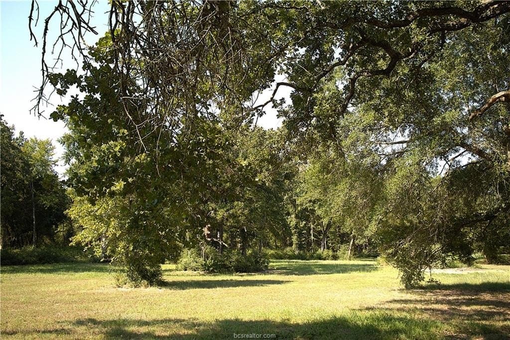 5.51 acres in Robertson County - photo 13