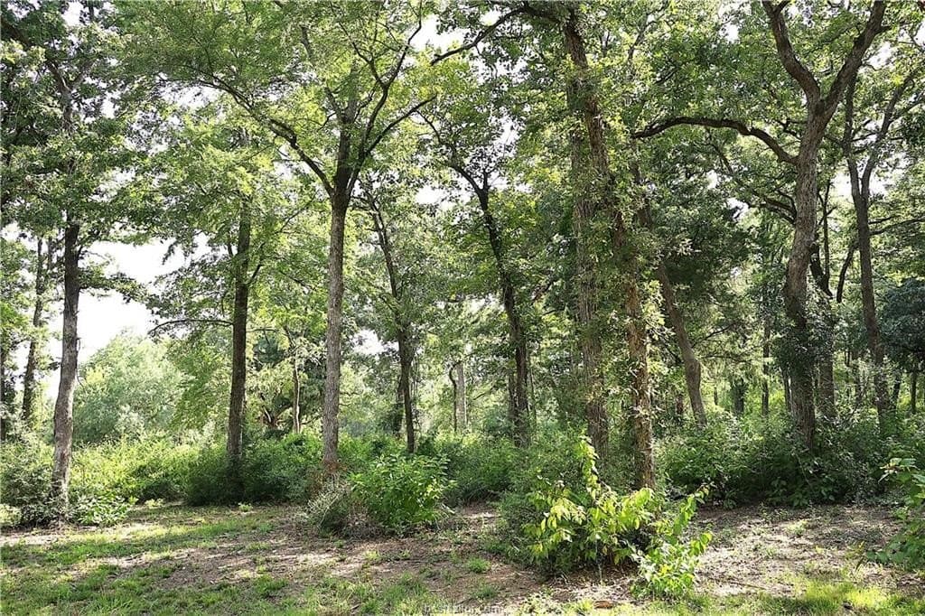 5.51 acres in Robertson County - photo 6