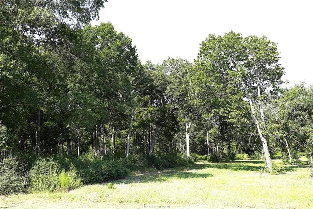 5.51 acres in Robertson County - photo 14
