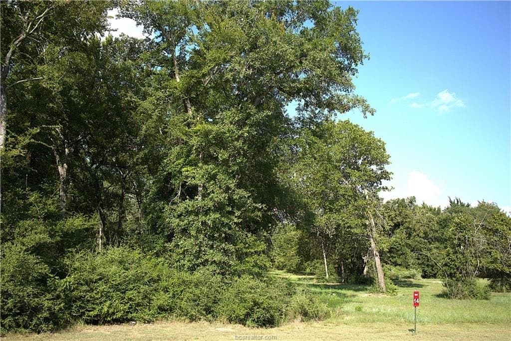 5.51 acres in Robertson County - photo 3
