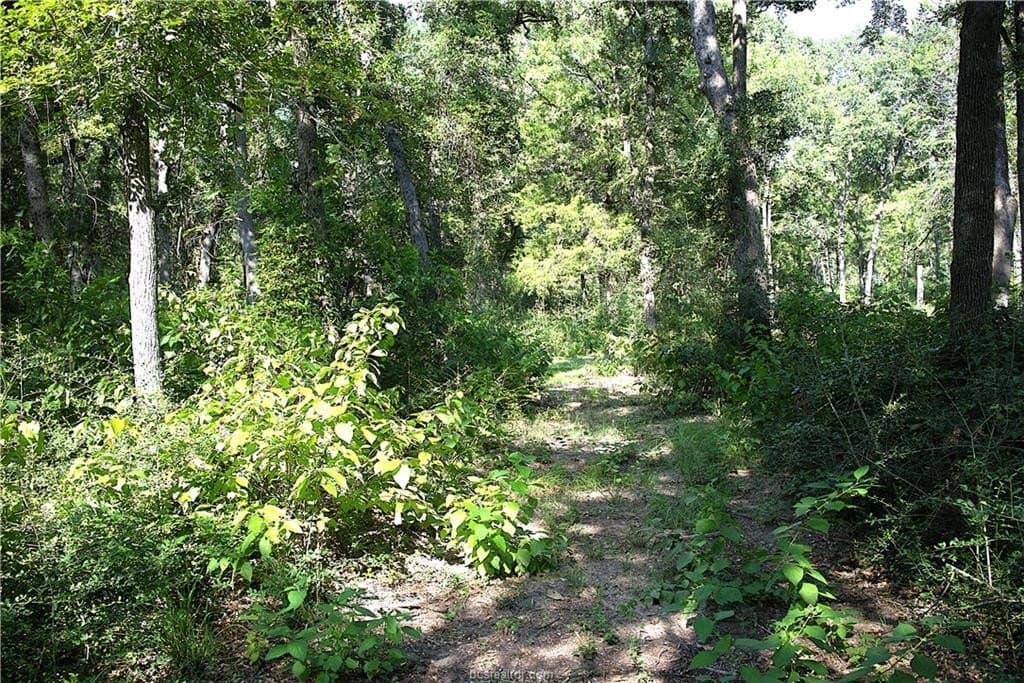 5.51 acres in Robertson County - photo 8