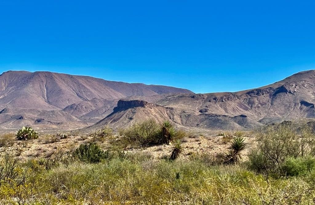 40 acres in Brewster County
