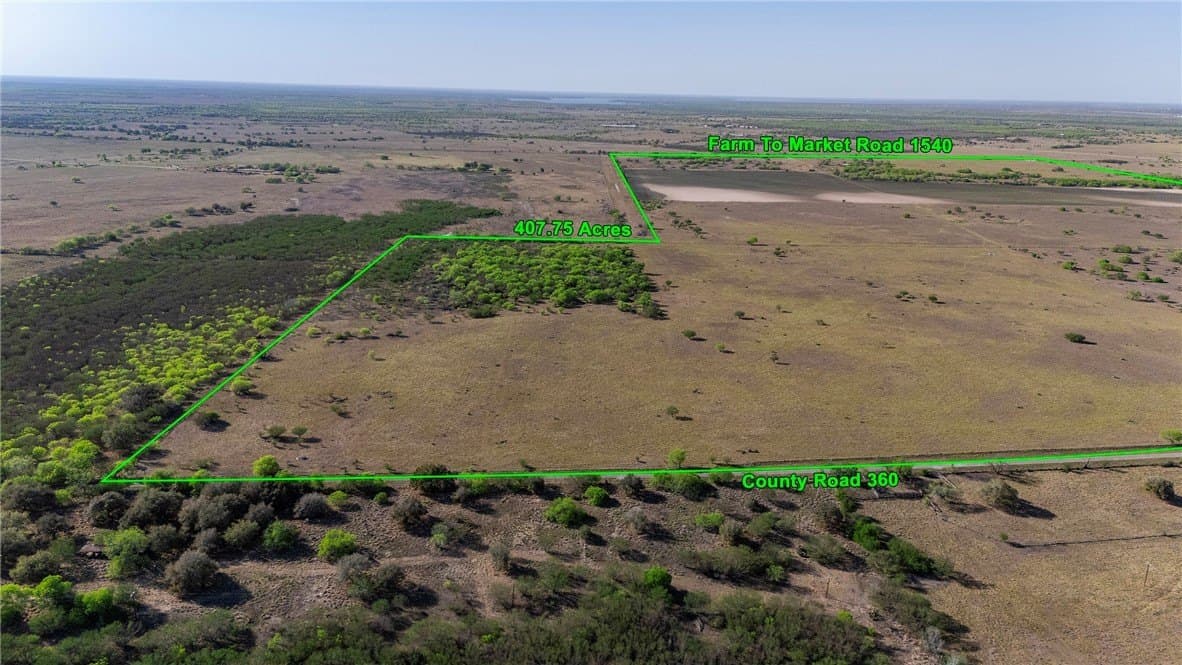 407 acres in Jim Wells County gallery image 2