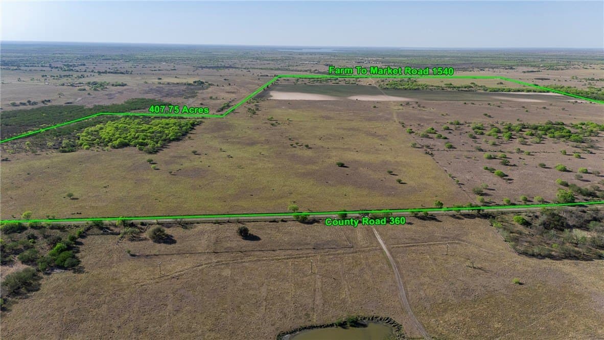 407 acres in Jim Wells County gallery image 4