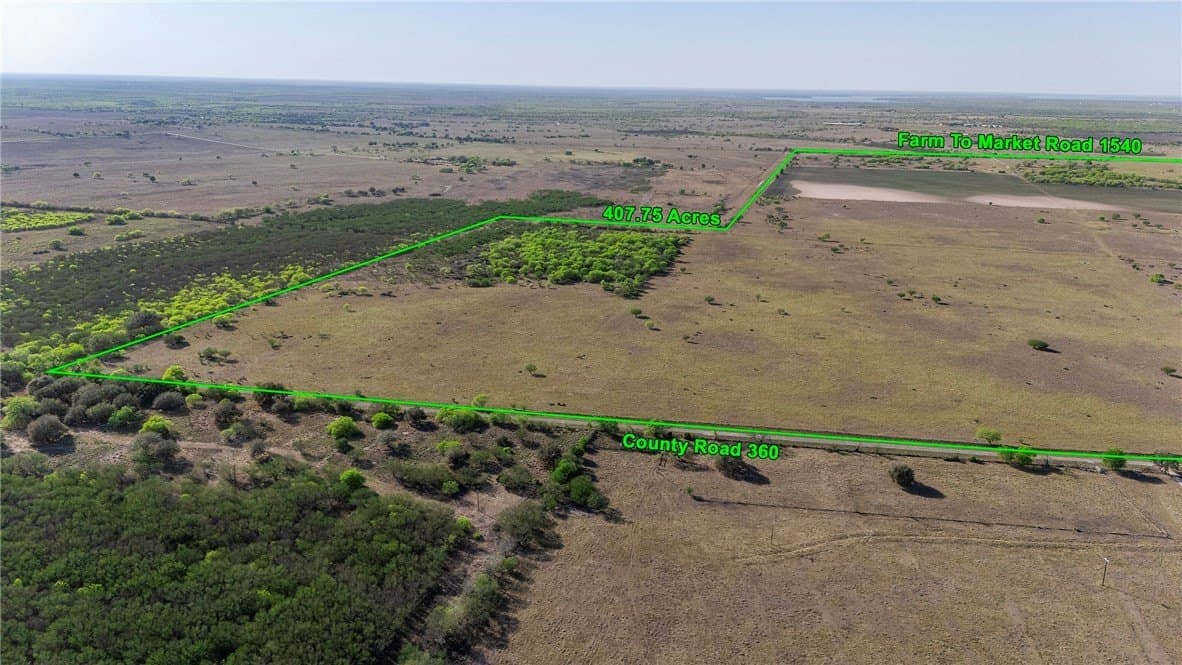 407 acres in Jim Wells County gallery image 3