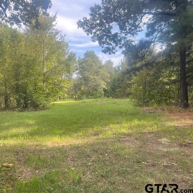 298.69 acres in Wood County gallery image 3