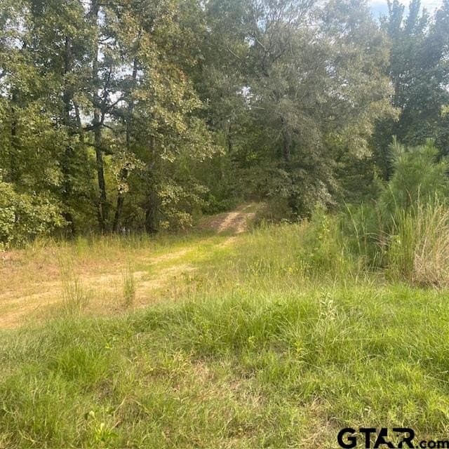 298.69 acres in Wood County gallery image 4