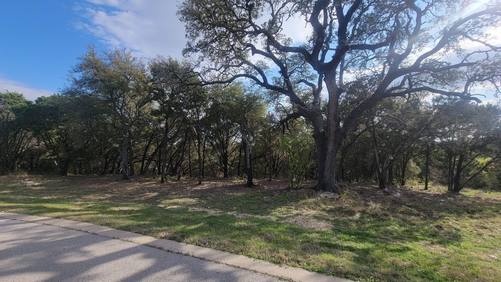 0.39 acres in Johnson County - photo 29
