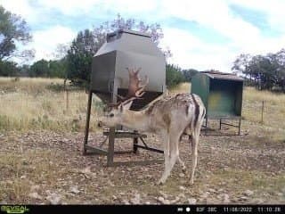 100 acres in Edwards County - photo 16