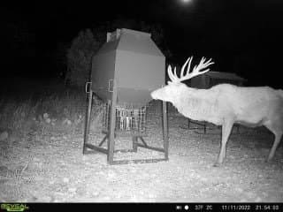 100 acres in Edwards County - photo 15