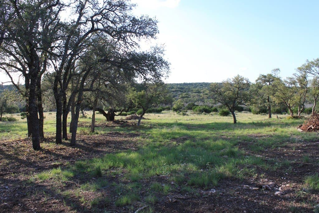 100 acres in Edwards County - photo 3