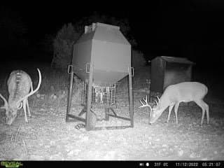 100 acres in Edwards County - photo 17