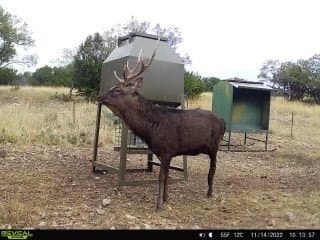 100 acres in Edwards County - photo 14