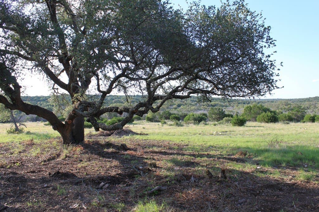 100 acres in Edwards County - photo 4