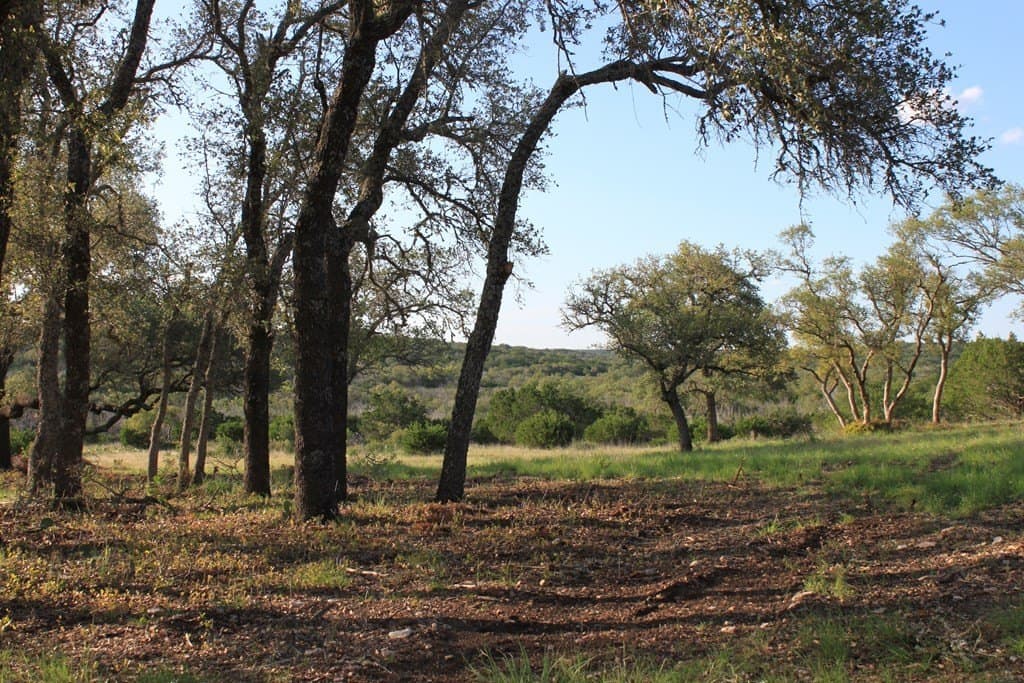 100 acres in Edwards County - photo 6
