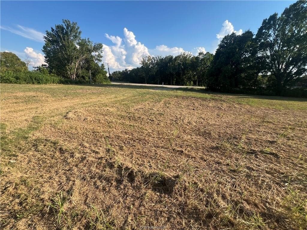 0.5 acres in Limestone County - photo 4