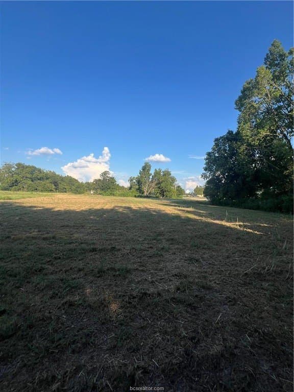 0.5 acres in Limestone County - photo 3