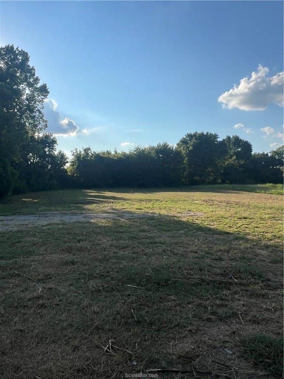 0.5 acres in Limestone County - photo 7