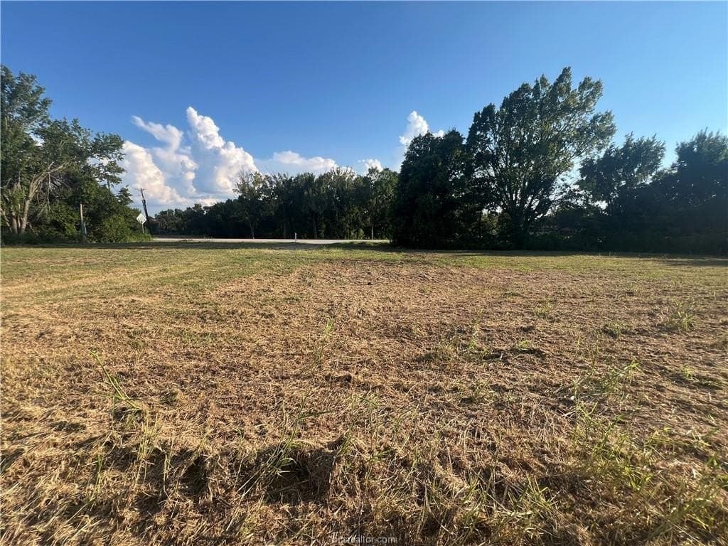 0.5 acres in Limestone County - photo 5