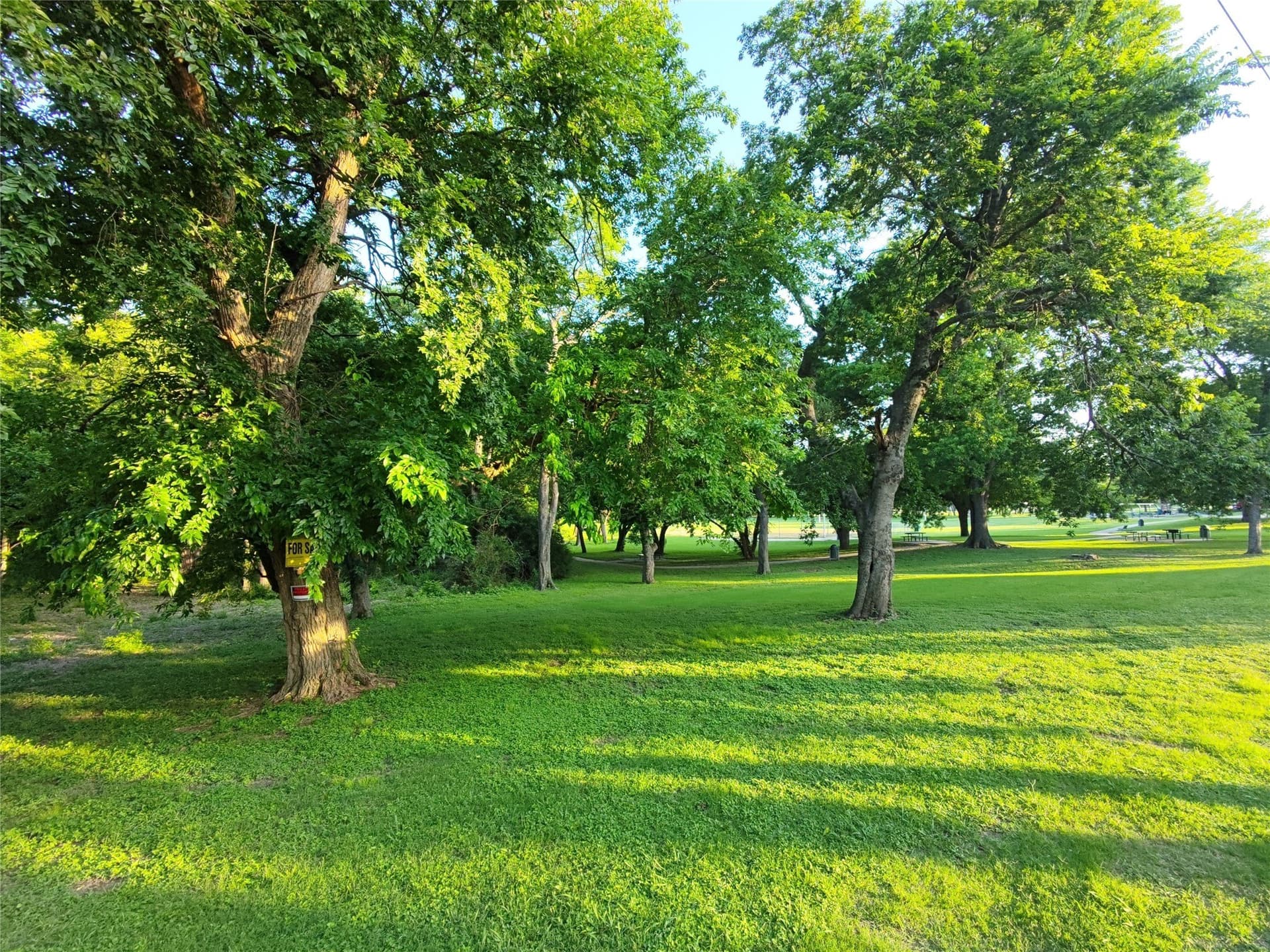 2.5 acres in Dallas County gallery image 4