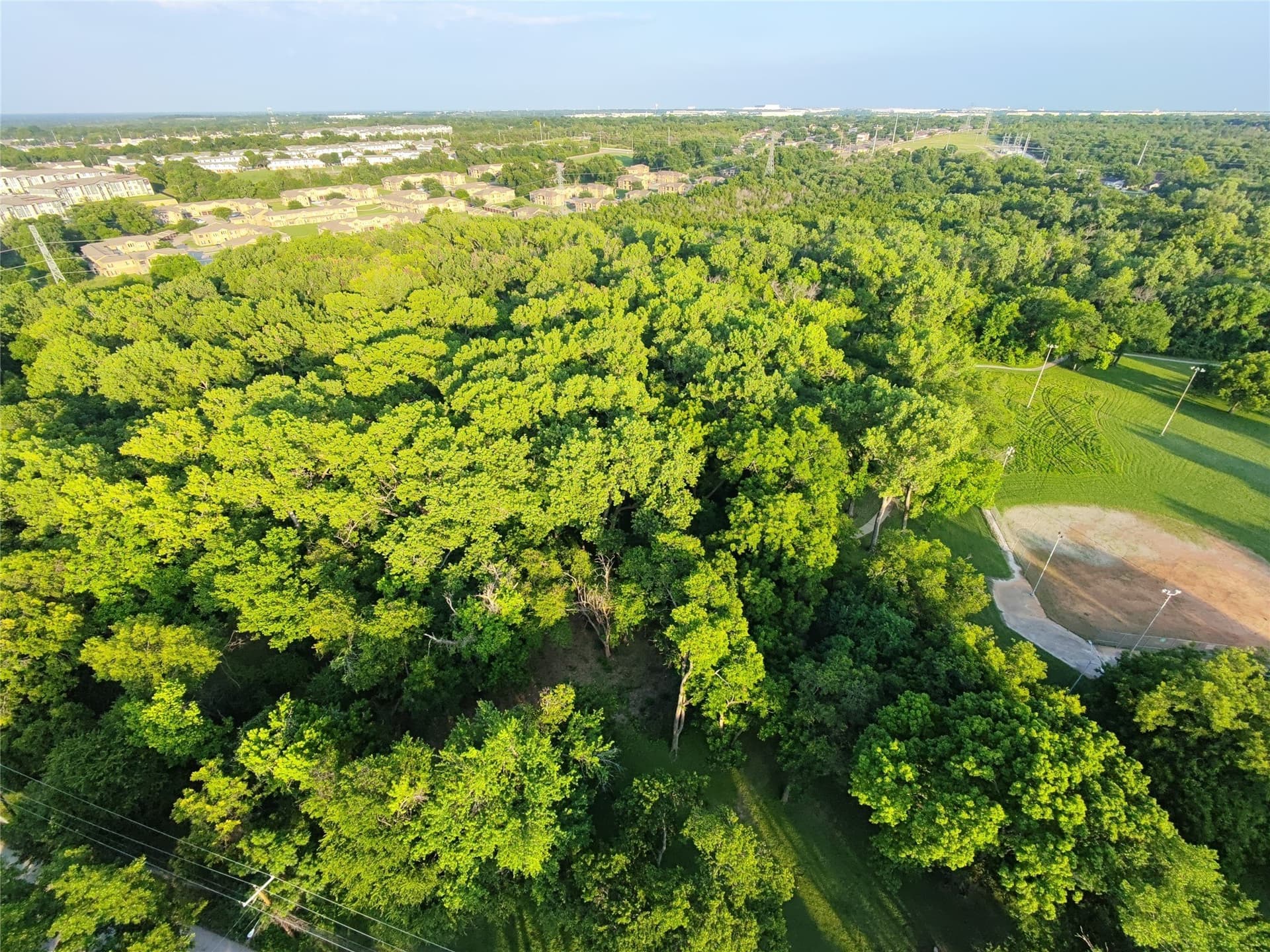 2.5 acres in Dallas County - photo 16