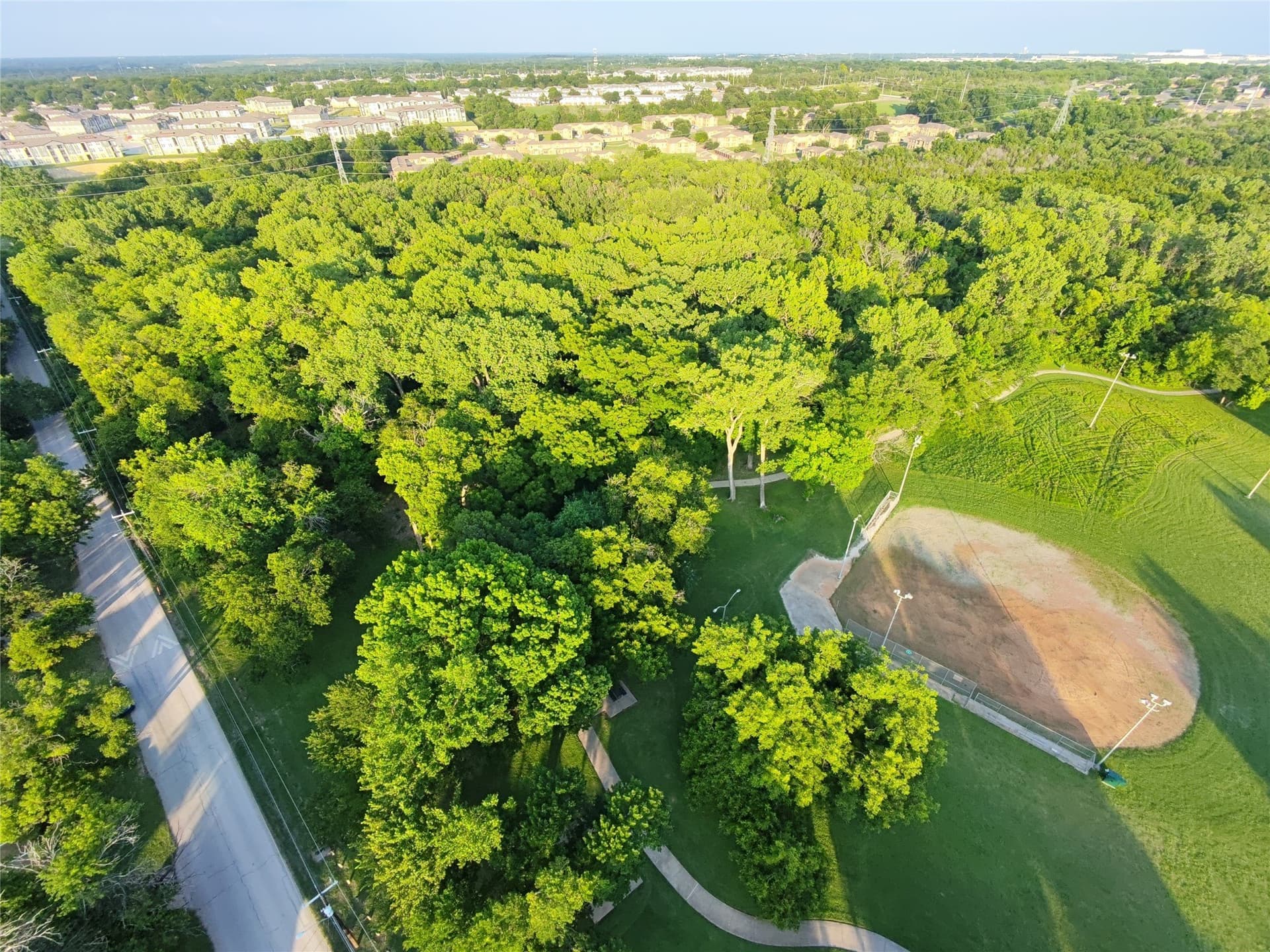 2.5 acres in Dallas County - photo 13