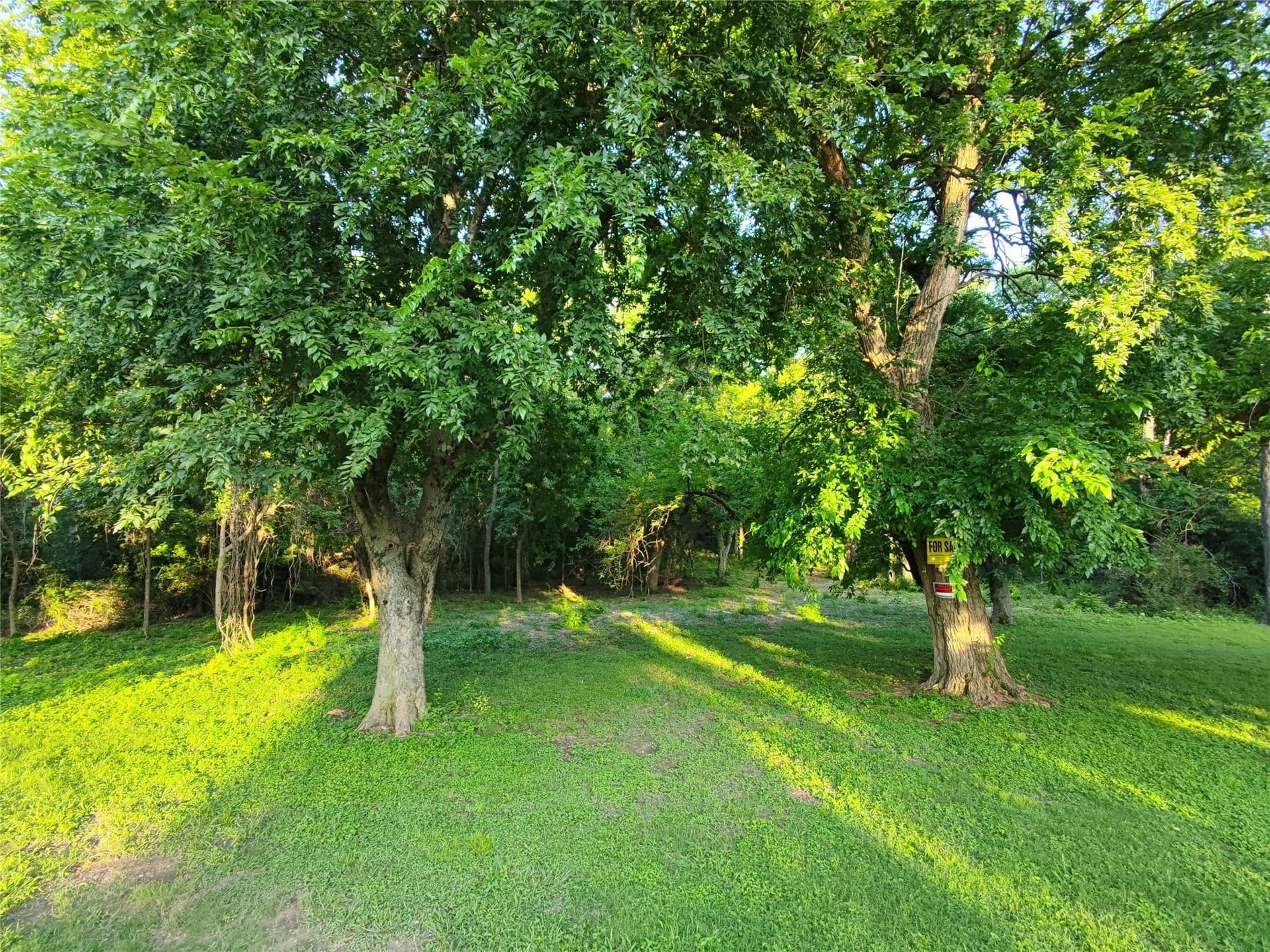 2.5 acres in Dallas County - photo 8