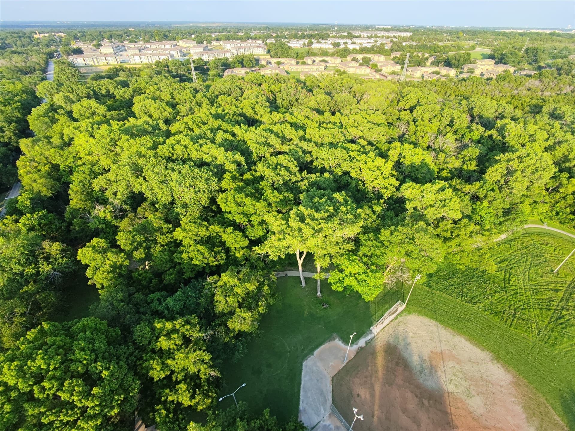 2.5 acres in Dallas County - photo 15