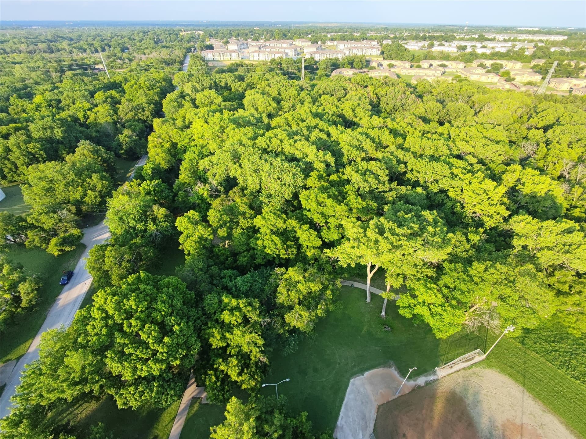 2.5 acres in Dallas County - photo 14