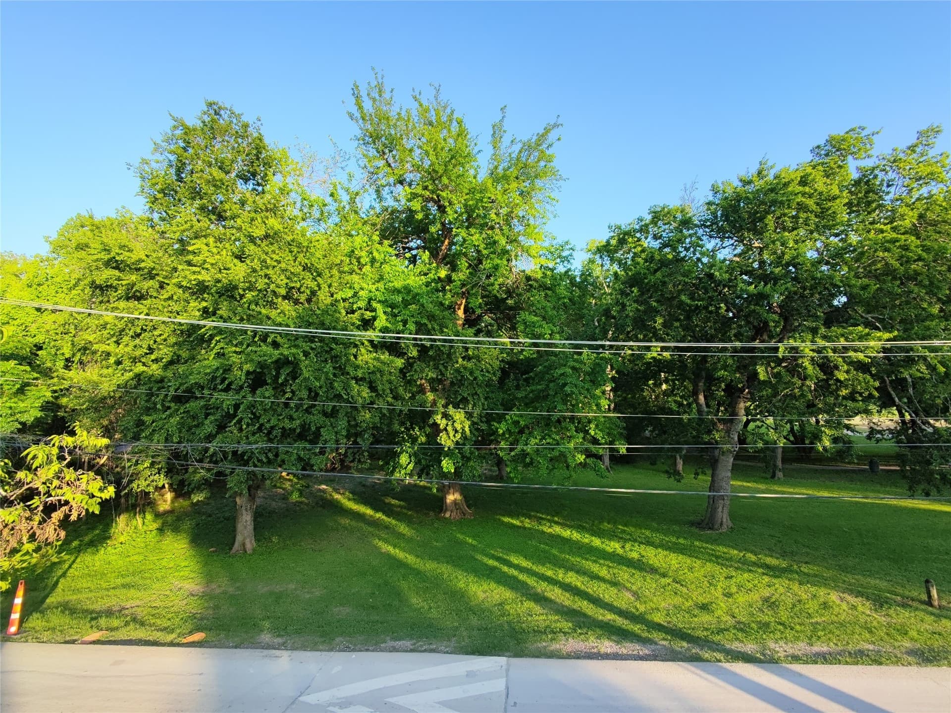 2.5 acres in Dallas County - photo 7