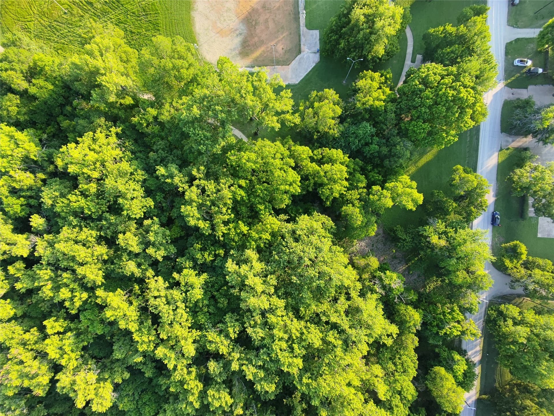 2.5 acres in Dallas County - photo 12