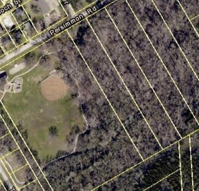 2.5 acres in Dallas County gallery image 3