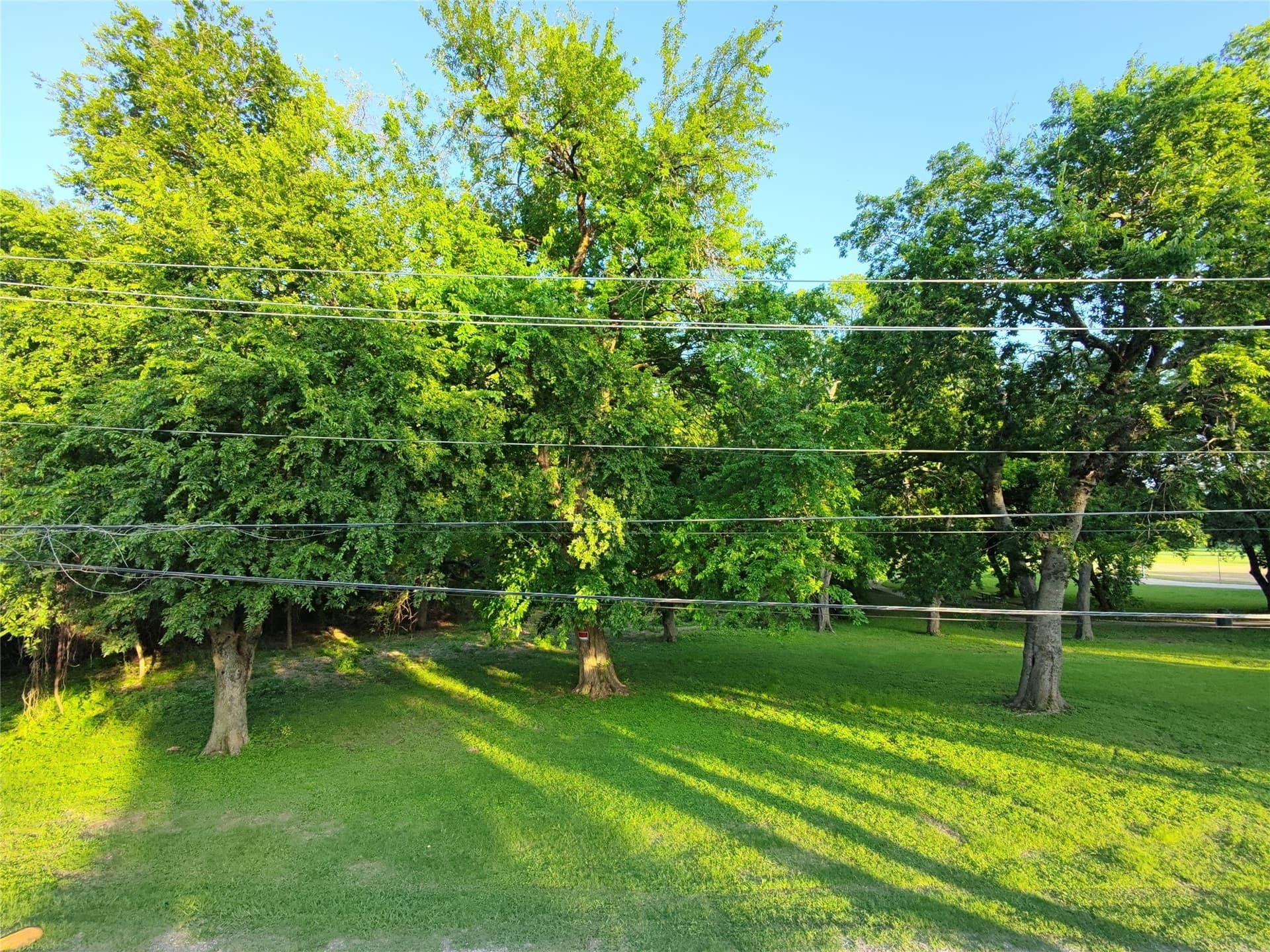 2.5 acres in Dallas County - photo 6
