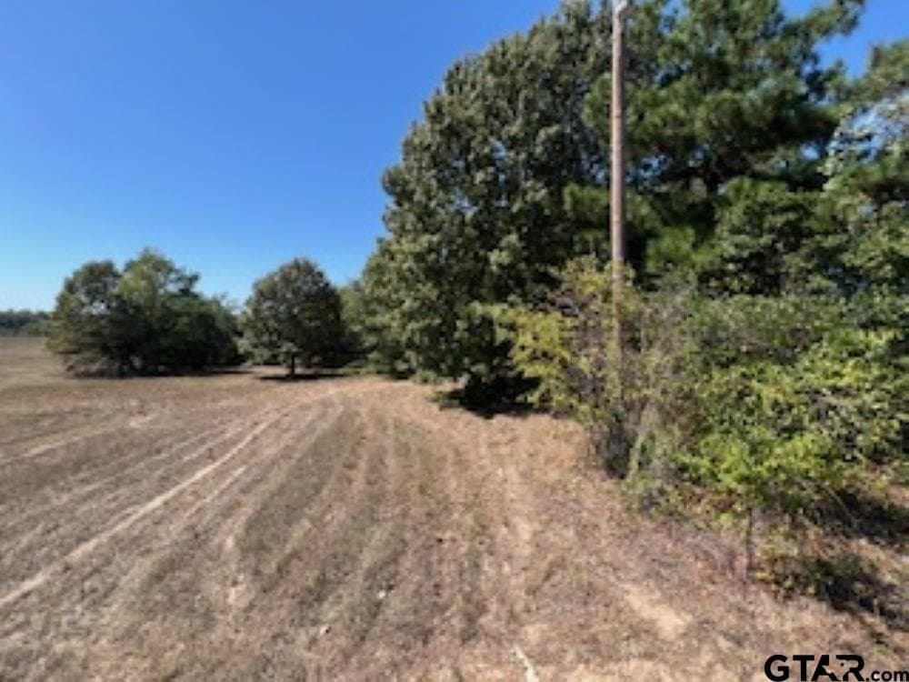 10.53 acres in Smith County - photo 21
