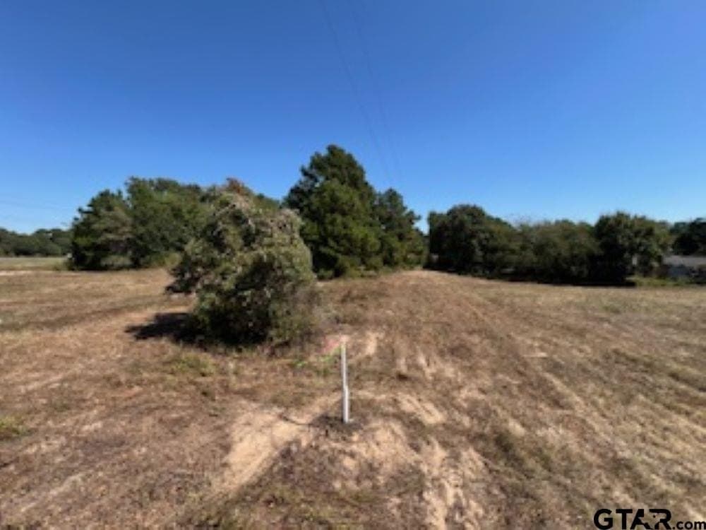 10.53 acres in Smith County - photo 24