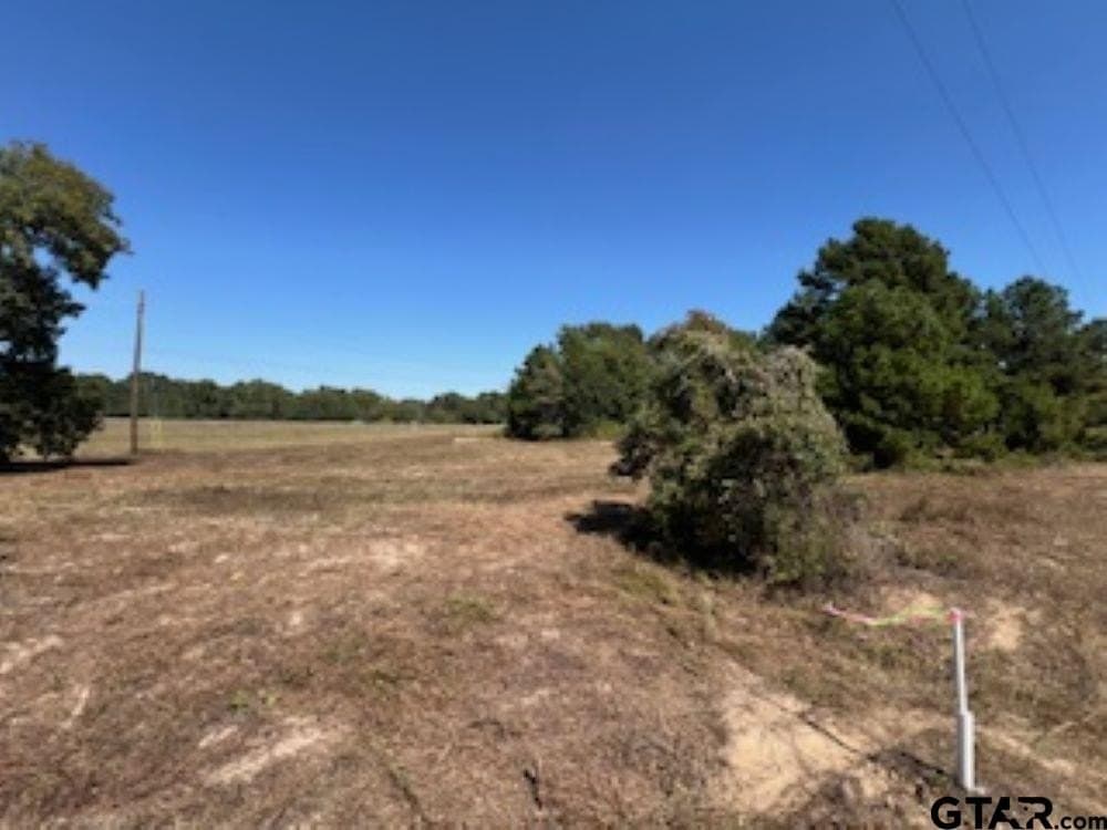 10.53 acres in Smith County - photo 23